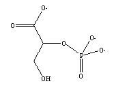 2-fosfoglicerato
