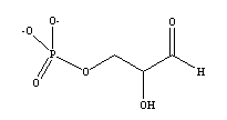Gliceraldeido-3-fosfato