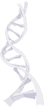 DNA