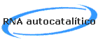 RNA autocataltico