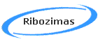 Ribozimas