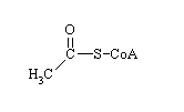 Acetyl-CoA