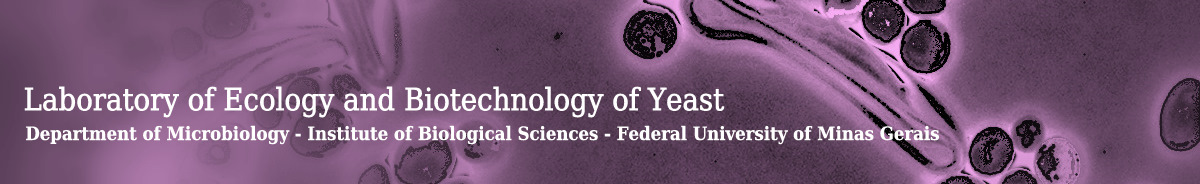 Laboratory of Ecology and Biotechnology of Yeast - ICB - UFMG