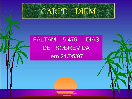 APROVEITEAVIDA.jpg (47926 bytes)