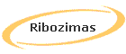 Ribozimas